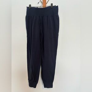 Salutation Jogger in Powevita